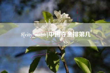 新泰中国夺金排第几