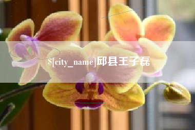 新泰邱县王子磊