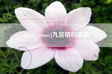 新泰九宫格的来源