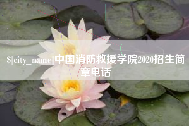 新泰中国消防救援学院2020招生简章电话