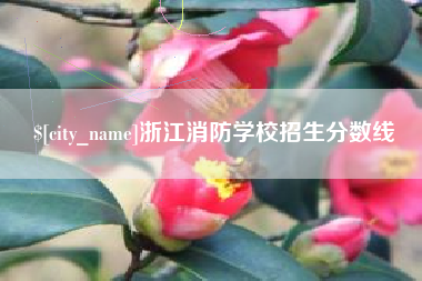 新泰浙江消防学校招生分数线