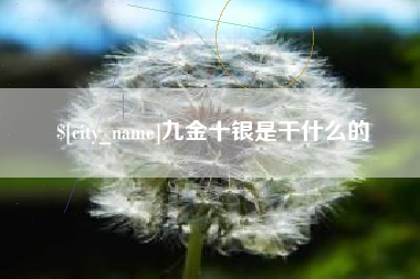 新泰九金十银是干什么的