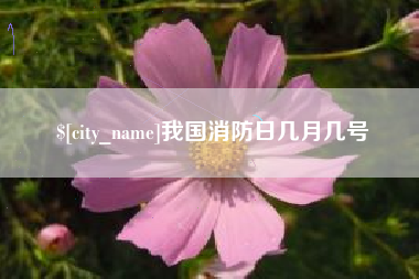 新泰我国消防日几月几号