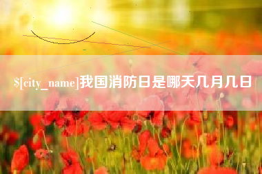 新泰我国消防日是哪天几月几日