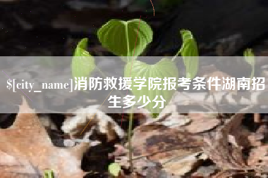 新泰消防救援学院报考条件湖南招生多少分