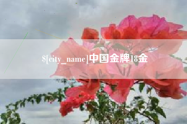 新泰中国金牌18金