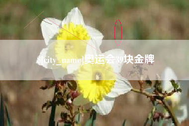 新泰奥运会39块金牌