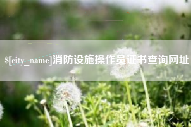 新泰消防设施操作员证书查询网址