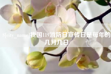 新泰我国119消防日宣传日是每年的几月几日