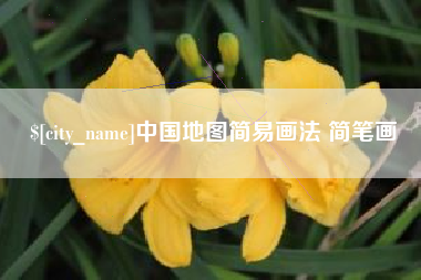 新泰中国地图简易画法 简笔画