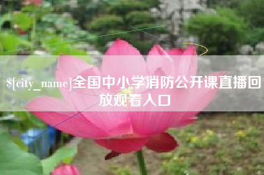 新泰全国中小学消防公开课直播回放观看入口