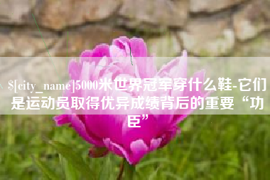 新泰5000米世界冠军穿什么鞋-它们是运动员取得优异成绩背后的重要“功臣”