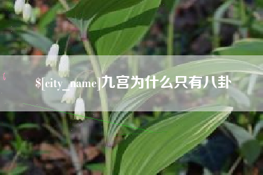 新泰九宫为什么只有八卦