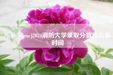 新泰2024消防大学录取分数线公布时间