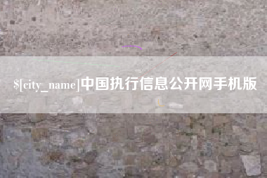 新泰中国执行信息公开网手机版
