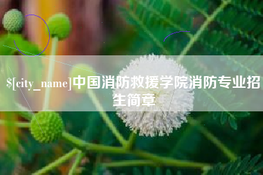 新泰中国消防救援学院消防专业招生简章