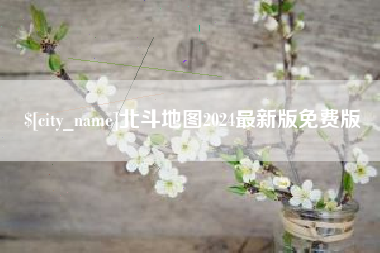 新泰北斗地图2024最新版免费版