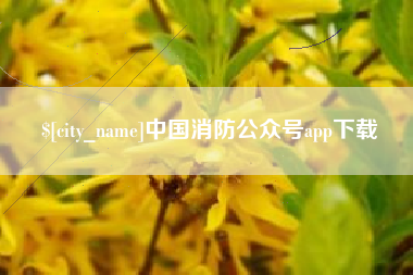 新泰中国消防公众号app下载