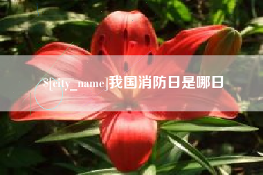 新泰我国消防日是哪日