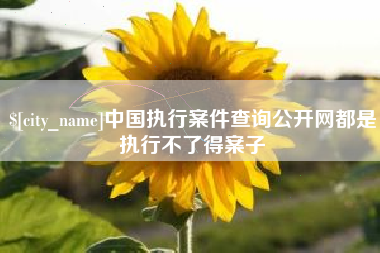 新泰中国执行案件查询公开网都是执行不了得案子
