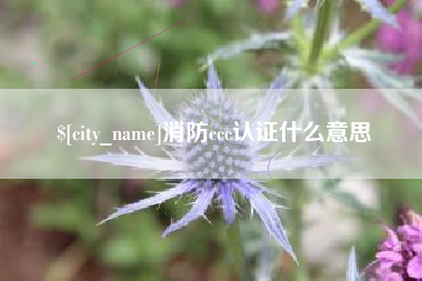 新泰消防ccc认证什么意思