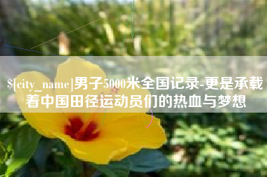 新泰男子5000米全国记录-更是承载着中国田径运动员们的热血与梦想