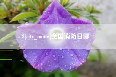 新泰全国消防日哪一
