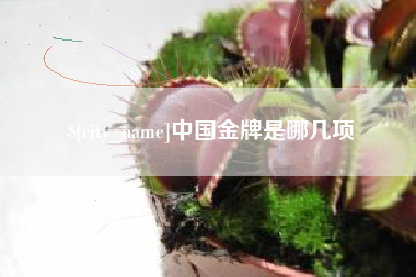 新泰中国金牌是哪几项