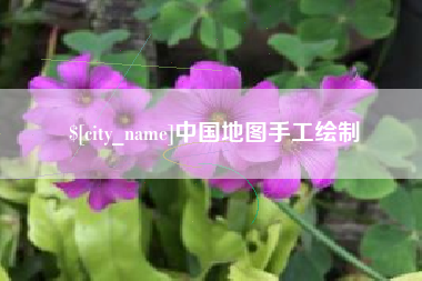 新泰中国地图手工绘制