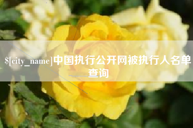 新泰中国执行公开网被执行人名单查询