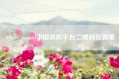 新泰中国消防平台二维码在哪里
