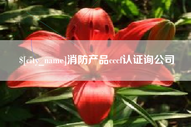 新泰消防产品cccf认证询公司