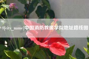 新泰中国消防救援学院地址路线图