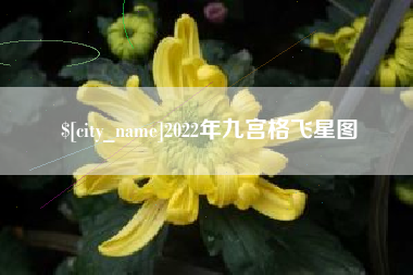 新泰2022年九宫格飞星图