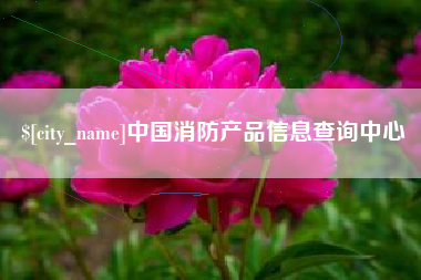 新泰中国消防产品信息查询中心