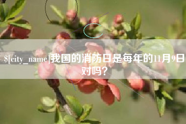 新泰我国的消防日是每年的11月9日对吗？