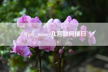 新泰九宫如何排日