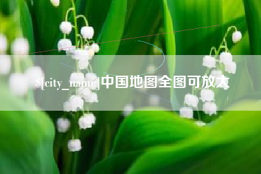 新泰中国地图全图可放大