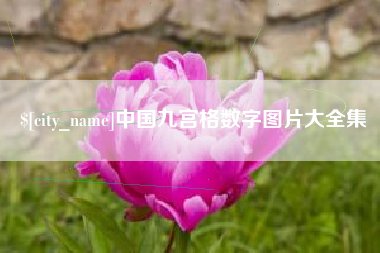 新泰中国九宫格数字图片大全集