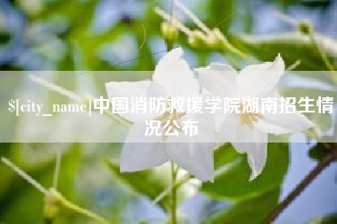 新泰中国消防救援学院湖南招生情况公布