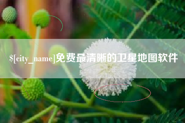 新泰免费最清晰的卫星地图软件