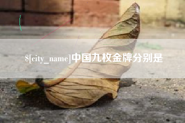 新泰中国九枚金牌分别是