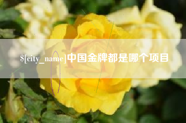 新泰中国金牌都是哪个项目