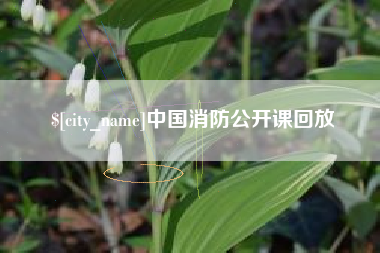 新泰中国消防公开课回放