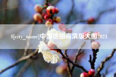 新泰中国地图高清版大图2024