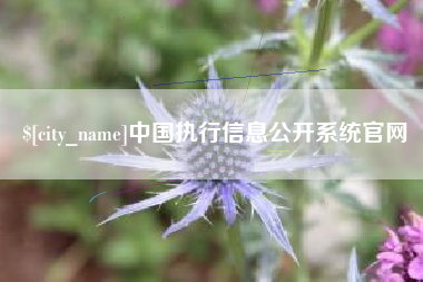 新泰中国执行信息公开系统官网