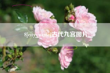 新泰古代九宫图片