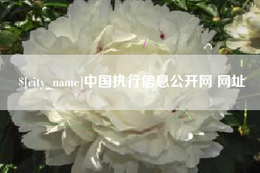 新泰中国执行信息公开网 网址