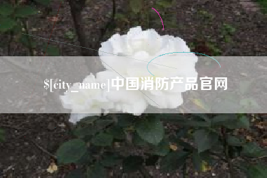 新泰中国消防产品官网