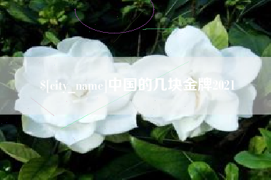 新泰中国的几块金牌2021